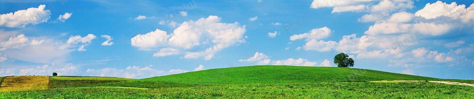 広大なドイツの草原の木と積雲と青空