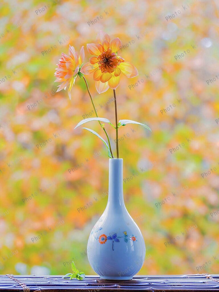 ダリアの花　花瓶＝有田焼　古伊万里 柿右衛門