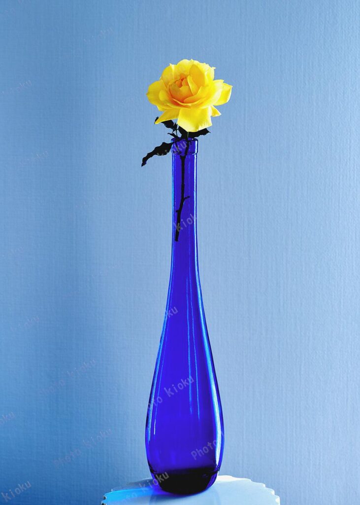 黄色のバラ、イエローバード